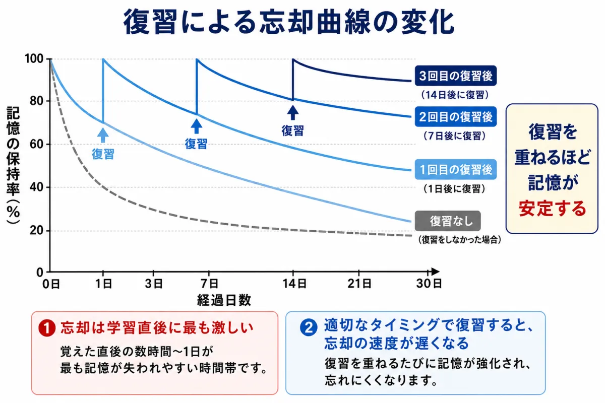 復習による忘却曲線の変化 — 復習を重ねるごとに記憶の下降が緩やかになり、長期記憶として安定する